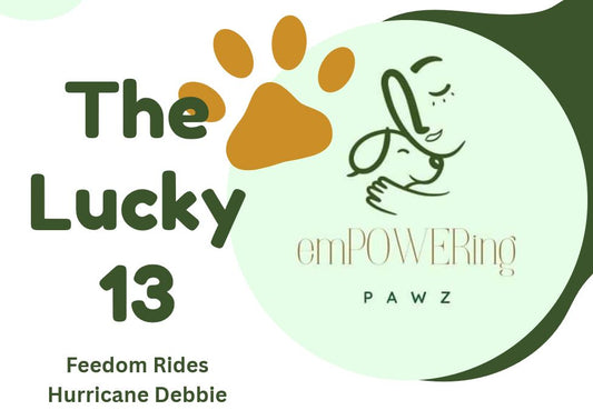 emPOWERing PAWZ, rescuing dogs!