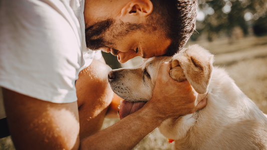 Dog Dads & Rescue Tales: Celebrating Father’s Day with a Purpose
